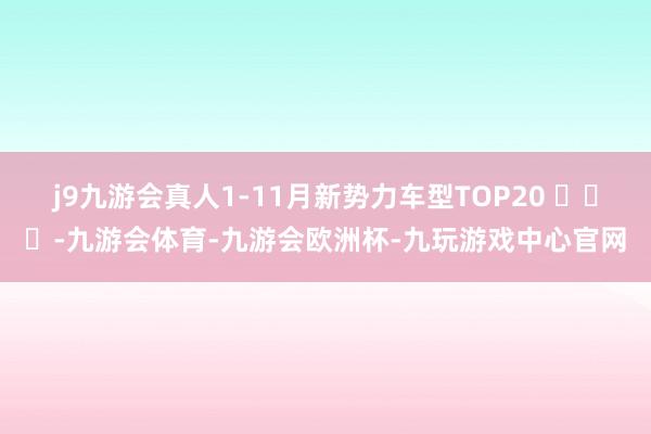 j9九游会真人1-11月新势力车型TOP20 ​​​-九游会体育-九游会欧洲杯-九玩游戏中心官网