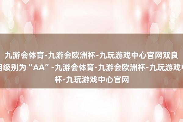 九游会体育-九游会欧洲杯-九玩游戏中心官网双良转债信用级别为“AA”-九游会体育-九游会欧洲杯-九玩游戏中心官网