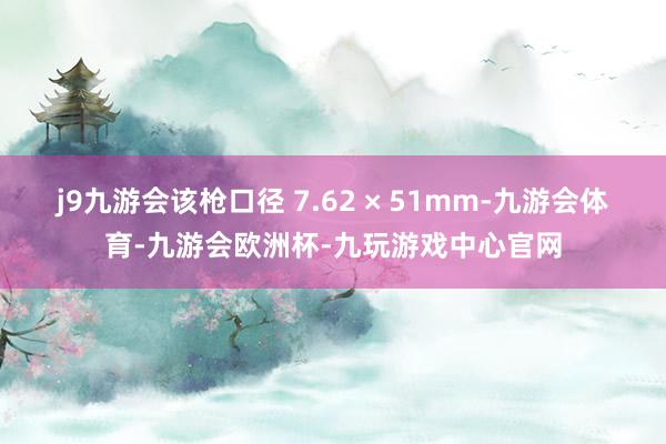 j9九游会该枪口径 7.62 × 51mm-九游会体育-九游会欧洲杯-九玩游戏中心官网
