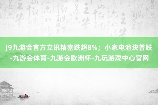 j9九游会官方立讯精密跌超8%；小家电池块普跌-九游会体育-九游会欧洲杯-九玩游戏中心官网