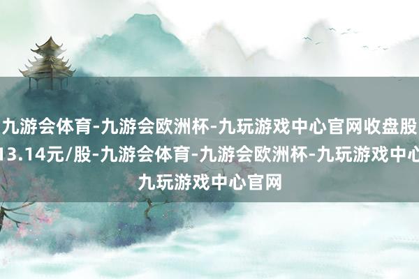 九游会体育-九游会欧洲杯-九玩游戏中心官网收盘股价为13.14元/股-九游会体育-九游会欧洲杯-九玩游戏中心官网