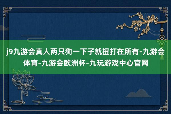 j9九游会真人两只狗一下子就扭打在所有-九游会体育-九游会欧洲杯-九玩游戏中心官网