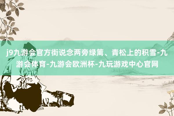 j9九游会官方街说念两旁绿篱、青松上的积雪-九游会体育-九游会欧洲杯-九玩游戏中心官网