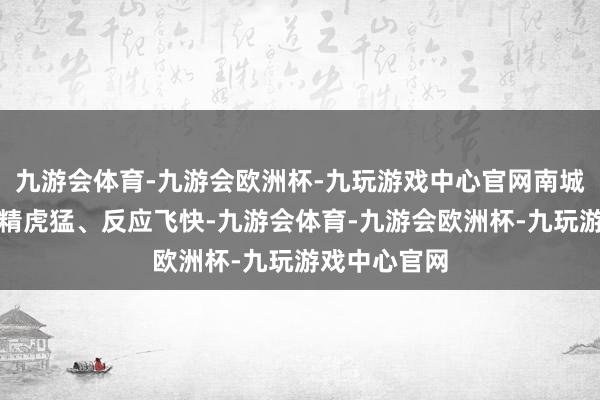 九游会体育-九游会欧洲杯-九玩游戏中心官网南城民兵队伍龙精虎猛、反应飞快-九游会体育-九游会欧洲杯-九玩游戏中心官网
