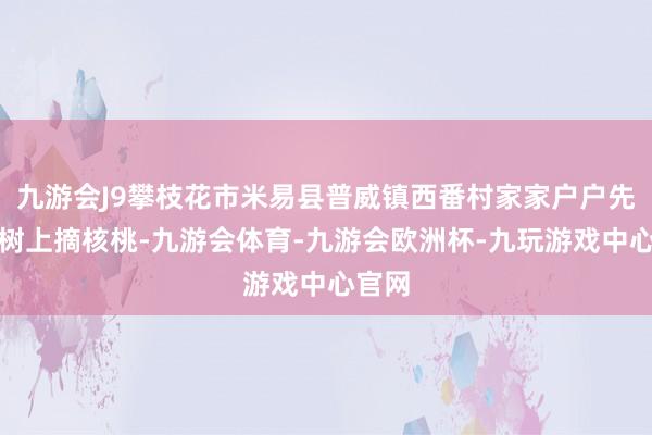 九游会J9攀枝花市米易县普威镇西番村家家户户先是在树上摘核桃-九游会体育-九游会欧洲杯-九玩游戏中心官网