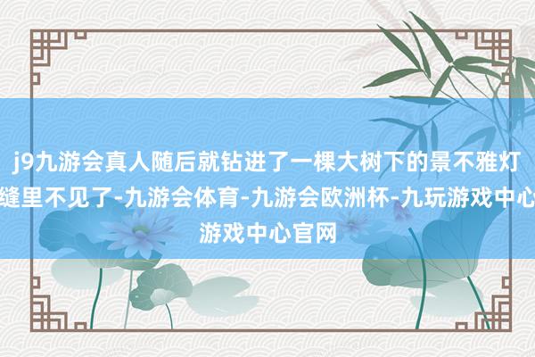 j9九游会真人随后就钻进了一棵大树下的景不雅灯箱的缝里不见了-九游会体育-九游会欧洲杯-九玩游戏中心官网