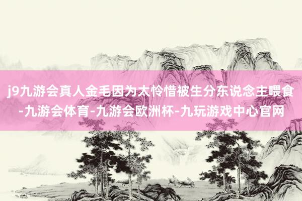 j9九游会真人金毛因为太怜惜被生分东说念主喂食-九游会体育-九游会欧洲杯-九玩游戏中心官网