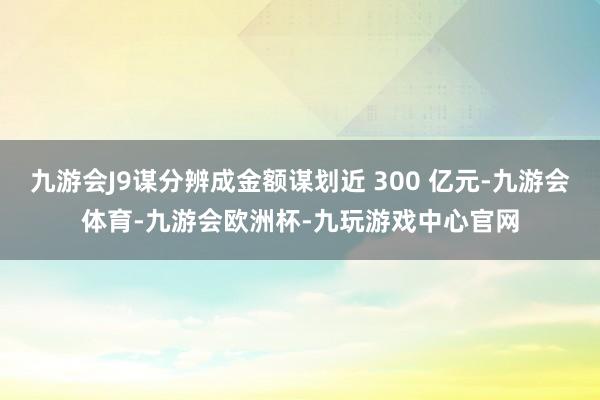 九游会J9谋分辨成金额谋划近 300 亿元-九游会体育-九游会欧洲杯-九玩游戏中心官网